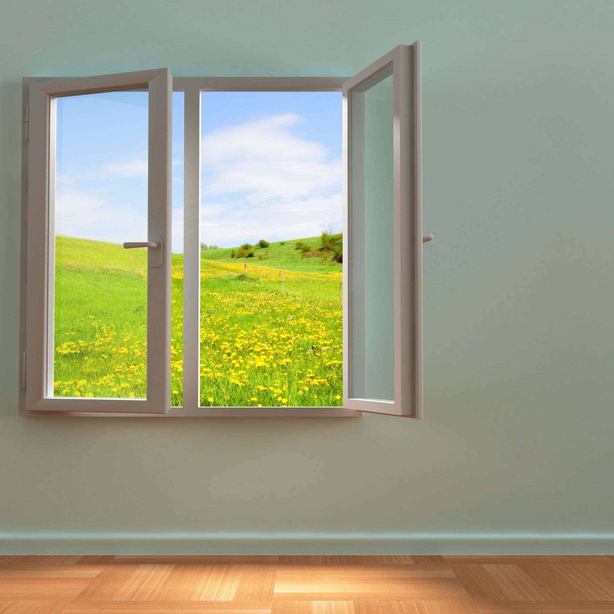 windowinnovations.com