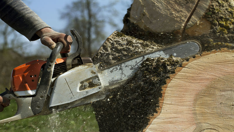 yelp.com