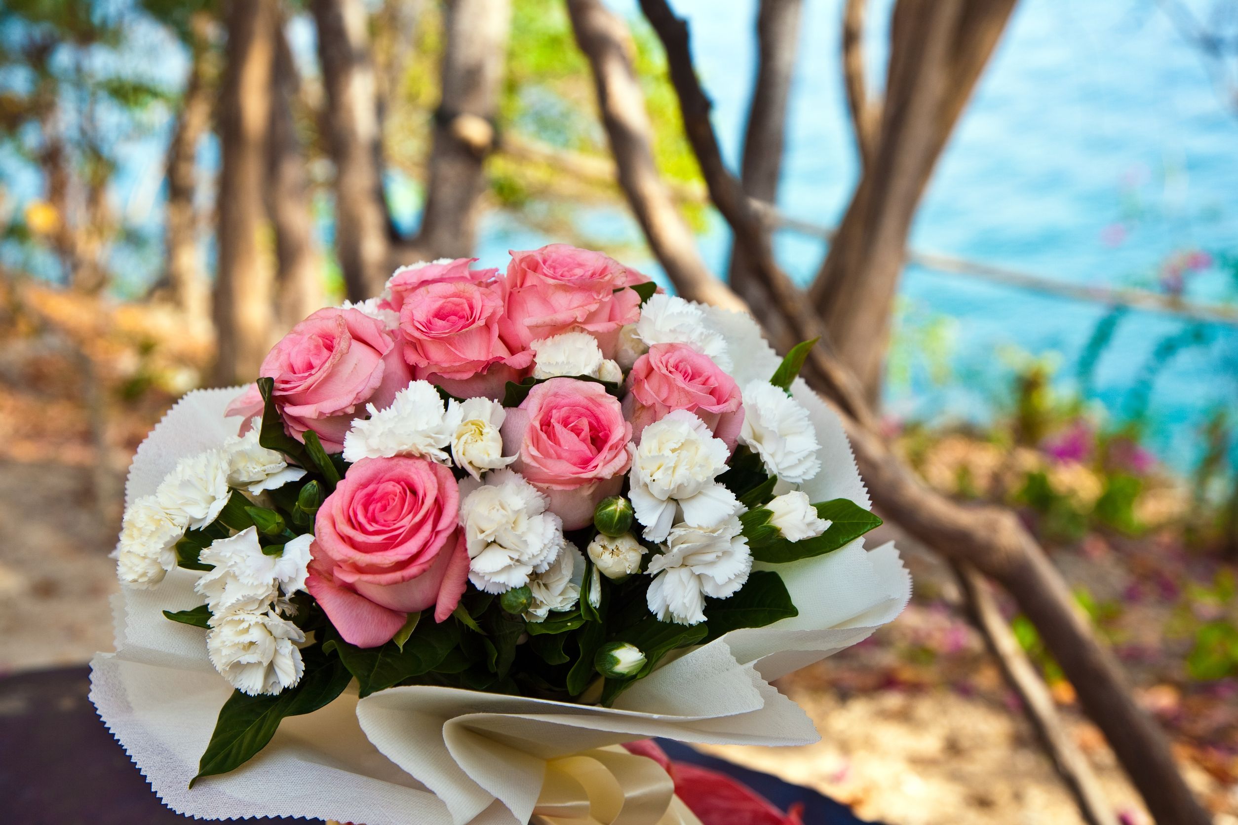 lafayetteflorist.com
